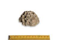 F 08861
<br/>
<br/>
<em></em>